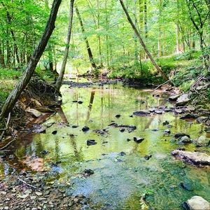 Meet your Posher, Mike